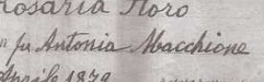 Macchione Signature.jpg