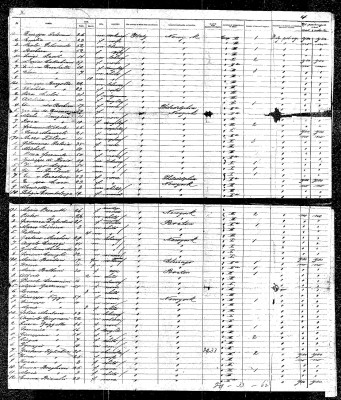 m237-05930268[1].jpg