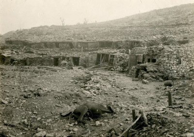 fogg045701[1].jpg
