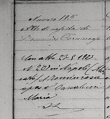 Tornincasa_Domenico_marr_note.jpg