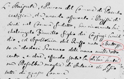 Michelangelo and Maria Ficorilli processetti (2) snip1.JPG