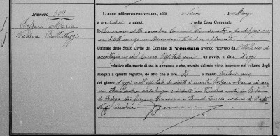 maria bolzan death certificate.jpg