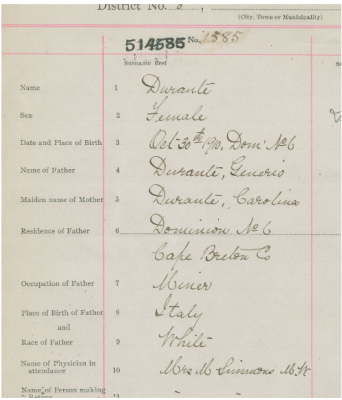 Ida Birth Certificate.png