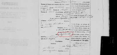 casamentoserafino2 - Copia.png