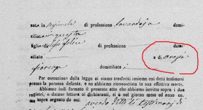Giuseppa.png