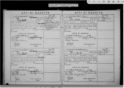 Concetta Vettraino birth record.JPG