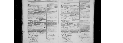 Angiolo Petracca birth.png