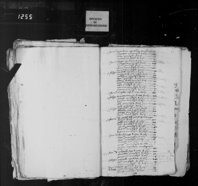 1593.jpg