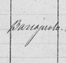 Occupation 3.png