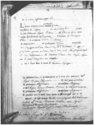 Carmine_Guiseppe_D'avino (1).jpg