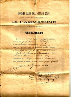 Louis Gardella Adoption Paper.jpg