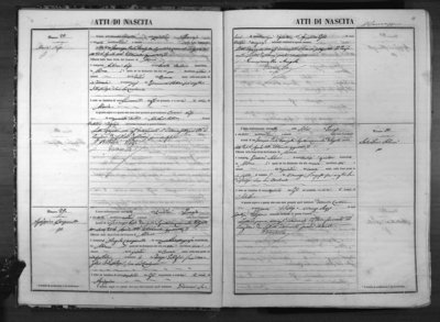Maria Nolfo birth record.jpg