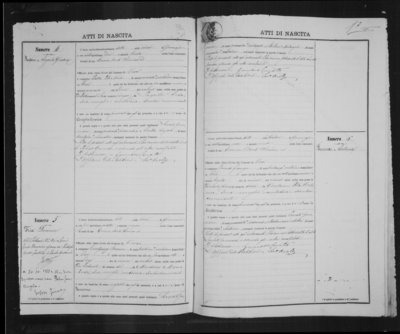 Domenico Tria Birth Certificate.jpg