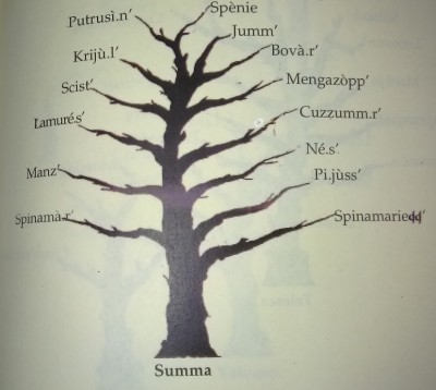 SUMMA.jpg